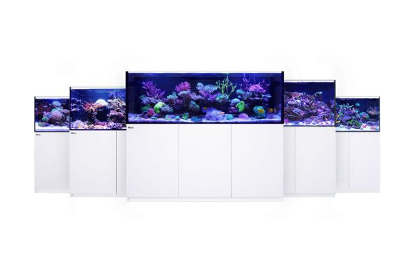 Red Sea Reefer MAX G2+ System